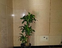 �r��֮����Է������[